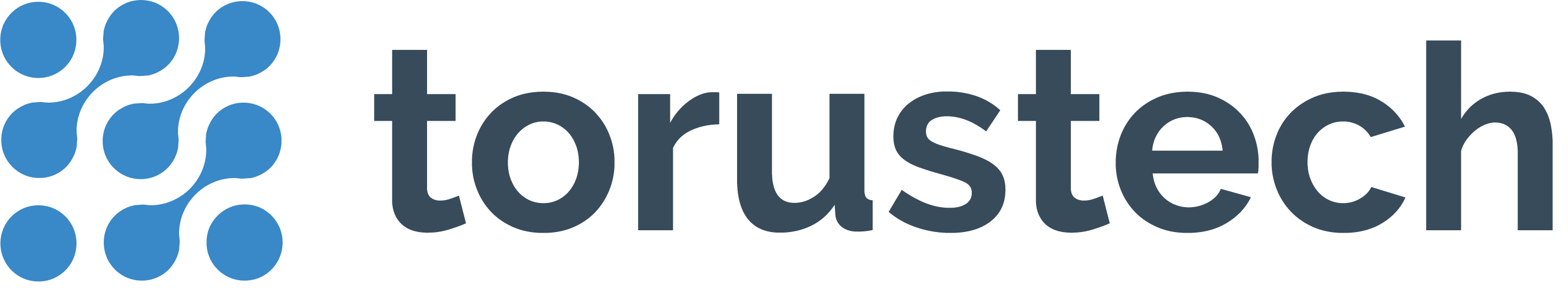Torus Technology Logo